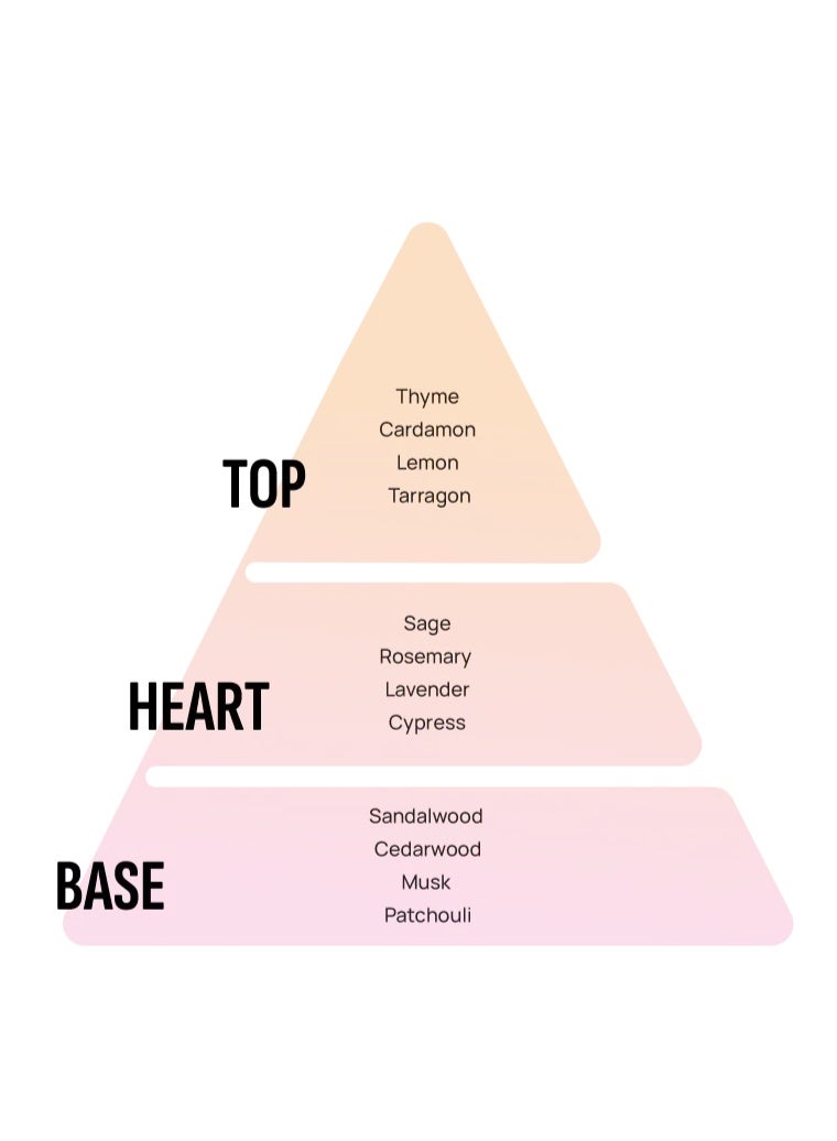 Areon Car Air Freshener XPERIENCE New Car Scent - Image 2