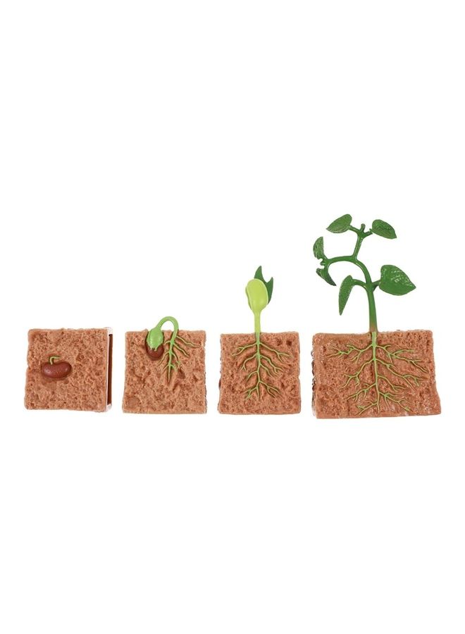 4-Piece Plants Life Cycle Educational Evolution Toy - Image 1