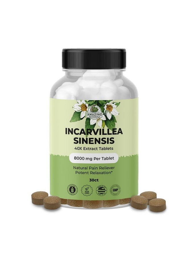 Amazing Botanicals Incarvillea Sinensis 40X Extract Tablets (30 Tablets) 8,000 Mg | Alleviates Aches & Promotes Relaxation  - Image 1