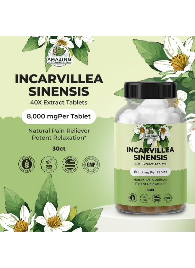 Amazing Botanicals Incarvillea Sinensis 40X Extract Tablets (30 Tablets) 8,000 Mg | Alleviates Aches & Promotes Relaxation  - Image 4