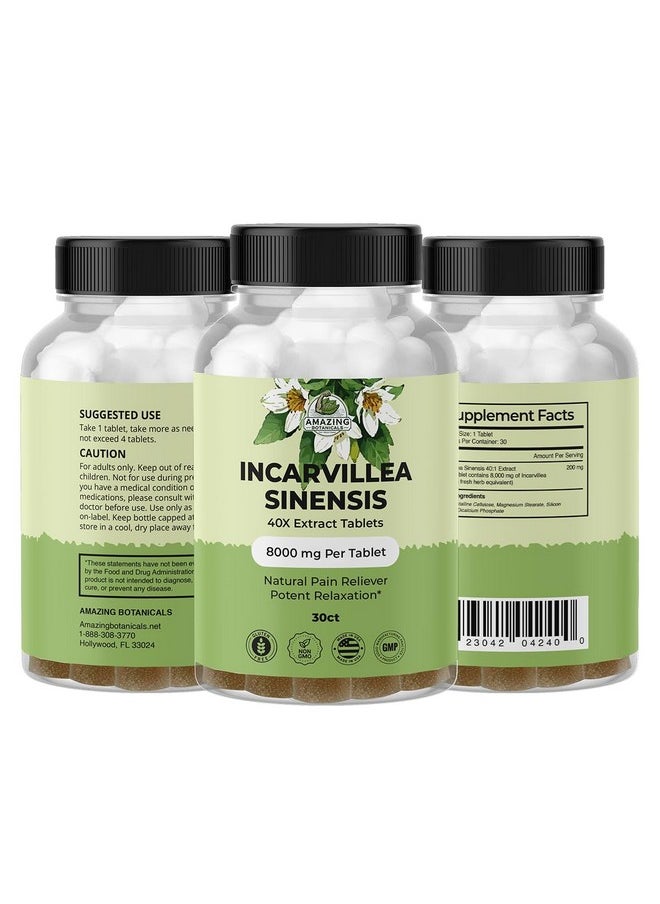 Amazing Botanicals Incarvillea Sinensis 40X Extract Tablets (30 Tablets) 8,000 Mg | Alleviates Aches & Promotes Relaxation  - Image 3