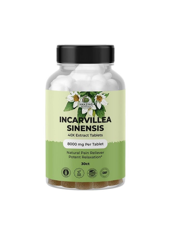 Amazing Botanicals Incarvillea Sinensis 40X Extract Tablets (30 Tablets) 8,000 Mg | Alleviates Aches & Promotes Relaxation  - Image 2