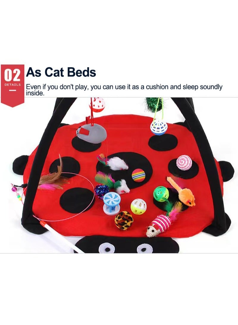 Kidle Interactive Kitty Toys Cat Tent Cat Toys Set for All Cats - Image 3