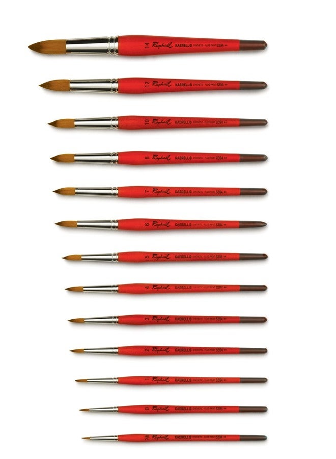 Raphael BRUSH KAERELL SYNH W/C RND 12 - Image 2