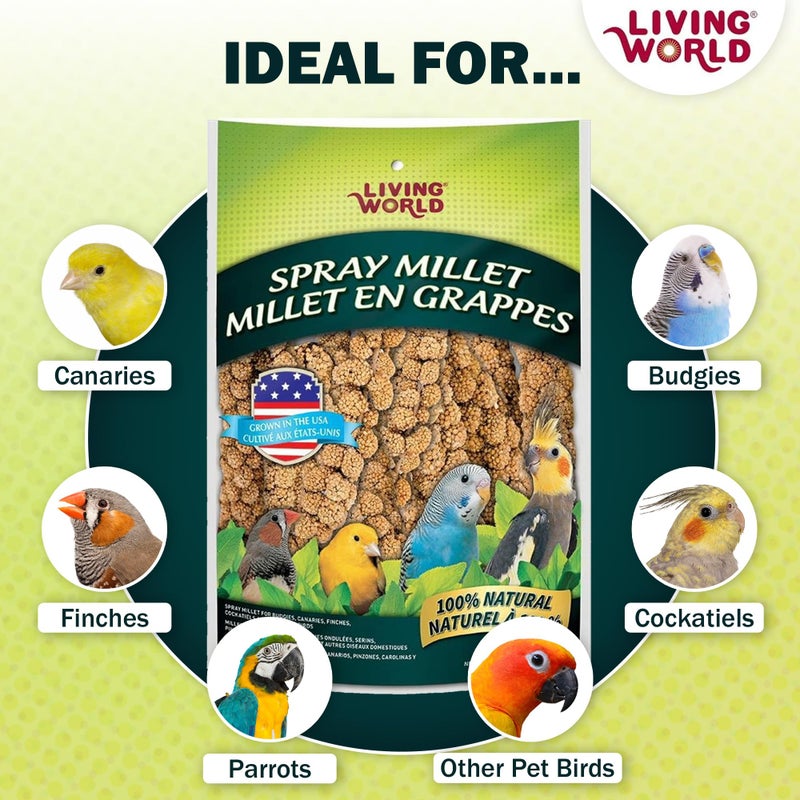 Living World - Millet Spray for Birds, 3.5 Oz - Premium Treat for Budgies, Canaries, Finches, Cockatiels and Other Pet Birds - Image 4