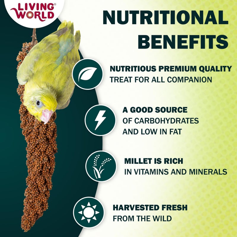 Living World - Millet Spray for Birds, 3.5 Oz - Premium Treat for Budgies, Canaries, Finches, Cockatiels and Other Pet Birds - Image 2