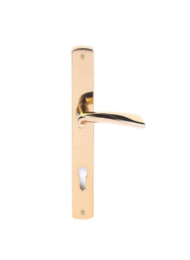 Doganlar Doganlar Fulia Door Handle Set Turkish – Golden Matt  - Image 2
