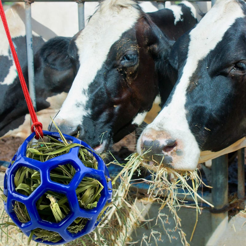 2PCS Horse Treat Ball, Hay Feeder Toy, Hanging Tensile-Resistant Goat Feeder Ball for Horse, Goat, Sheep to Play and Relieve Stress (Blue) - Image 2