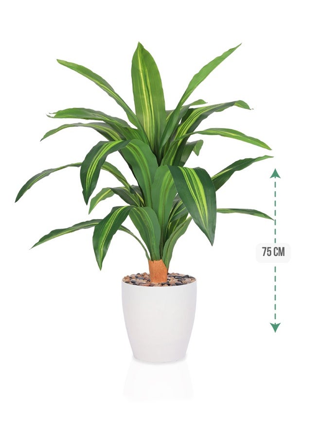 DRAMA HOME An artificial Tree Simulating a Soft corn Tree With Its Natural Texture 75 cm High  - Image 1