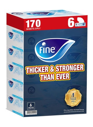 Facial Tissues Sterlised 2 Ply, 170 Sheets, Pack Of 6 White - pzsku/Z3D522FA07836AD07F0B5Z/45/_/1704634959/b00cfa93-cd1b-40a4-9e2d-18b8df749eb8