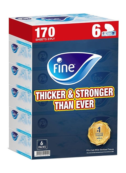 Facial Tissues Sterlised 2 Ply, 170 Sheets, Pack Of 6 White