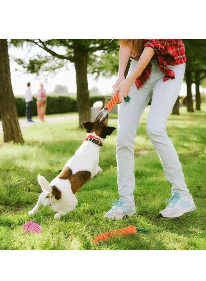 xppier 11 Pcs Pet Puppy Toys Gift Set For Dogs, Cute Squeaky Dog Toys Durable Puppy Teething Toys, Rope Toys, Puppy Chew Toys - Image 2