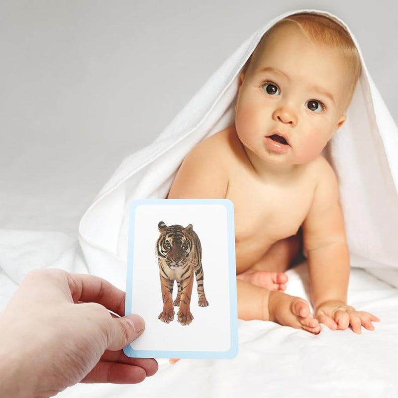 108 قطعة بطاقات تعليمية مزدوجة الجانب لكلمات البصر، ألعاب تعليمية لأطفال ما قبل المدرسة - Image 4