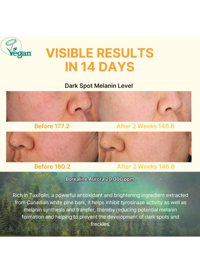 DERMACENTRIC Korean Dermatology Vegan Care 14 Day Vita Whitening Ampoule - Image 3