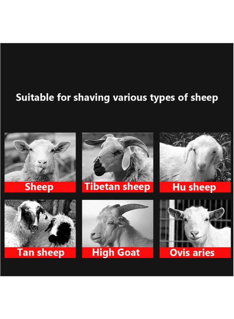 Aikanbo Sheep Shears Cordless Fur Wool in Sheep Goat Cattle and Other Farm Livestock 2800r/min Professional Rechargeable Shearing Clipper 24V for Shaving with 2 Lithium Batteries  - Image 4