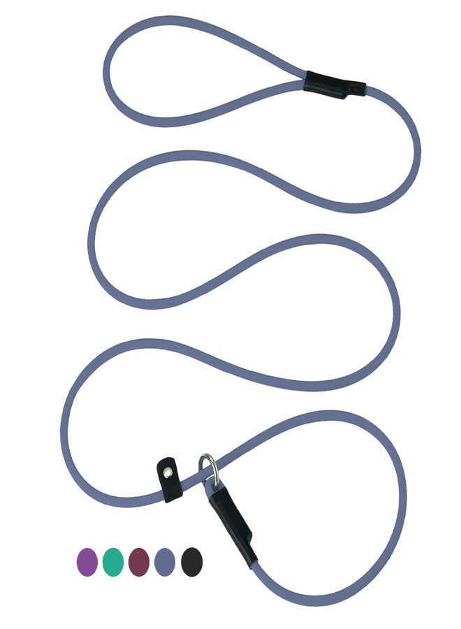 DISCPETSEC Slip Lead Dog Leash - 5FT Pets Training Leads Waterproof Dog Slip Leashes Long-Lasting Slip Collar Leash for Small Large, Medium Dogs (Blue, 5ft * 1/4'') - Image 1