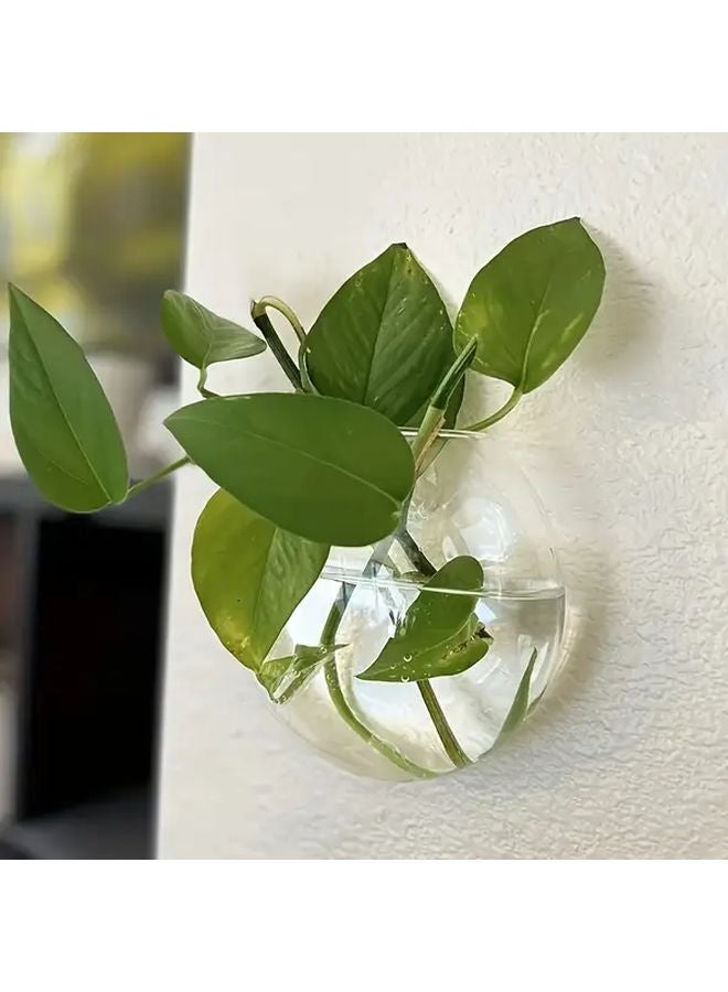 قطعتان زجاجية نصف دائرية قنديل حائط معلق زجاجة نبات مائي - Image 5