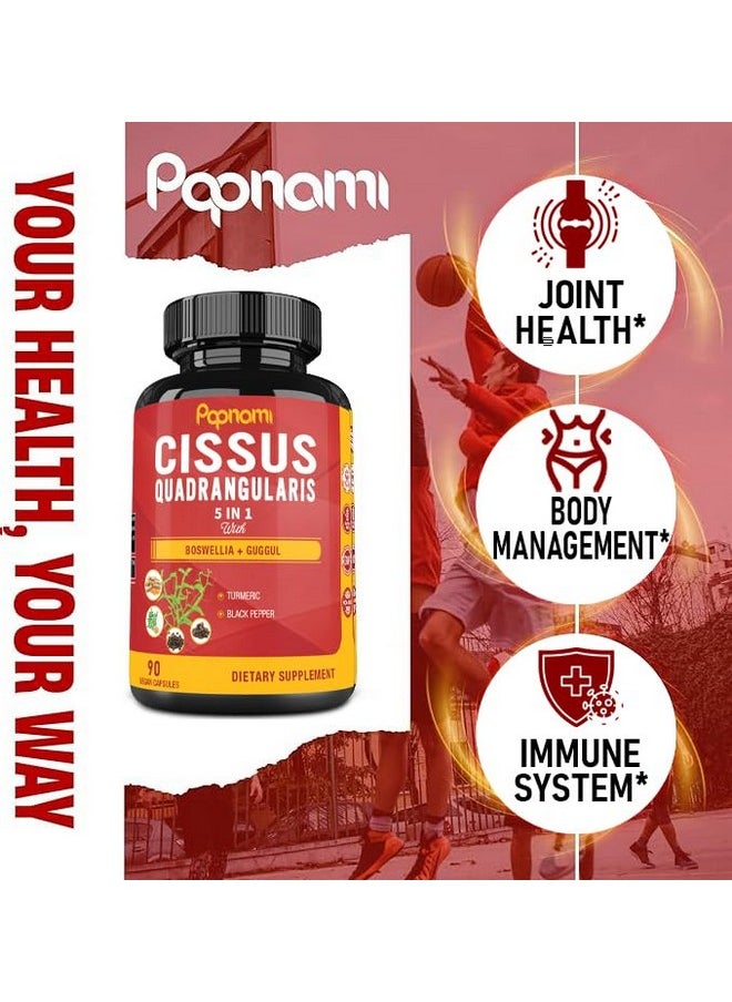 Papnami - Super Cissus Quadrangularis Extract Capsules with Boswellia, Guggul, Turmeric, Pepper | 3 Months Supply - Image 1