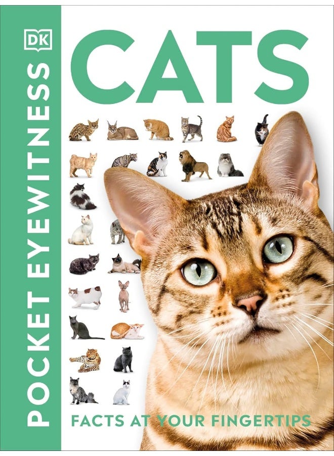 Cats: Facts at Your Fingertips - Image 1
