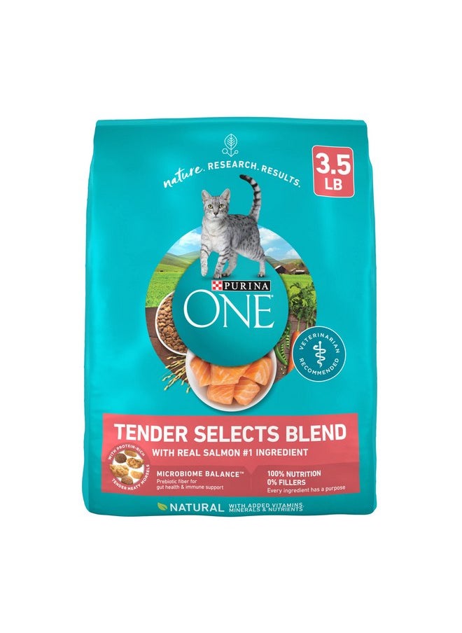 Purina ONE - Purina ONE Natural Dry Cat Food, Tender Selects Blend With Real Salmon - 3.5 lb. Bag - Image 1