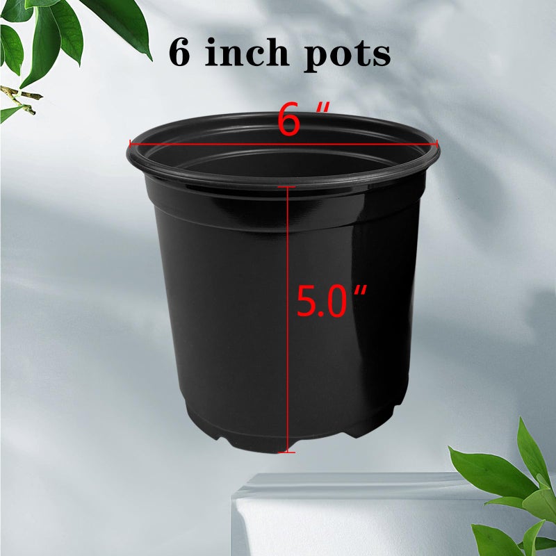 RAOOKIF 100 Pack Nursery Pots, 4 5 6 Inch Nursery Pot for Plants, Plastic Plant Pots with Drainage Holes, Garden Flower Pots for Transplanting, Succulents, Cuttings, Seedlings(6inch,100pcs) - Image 2