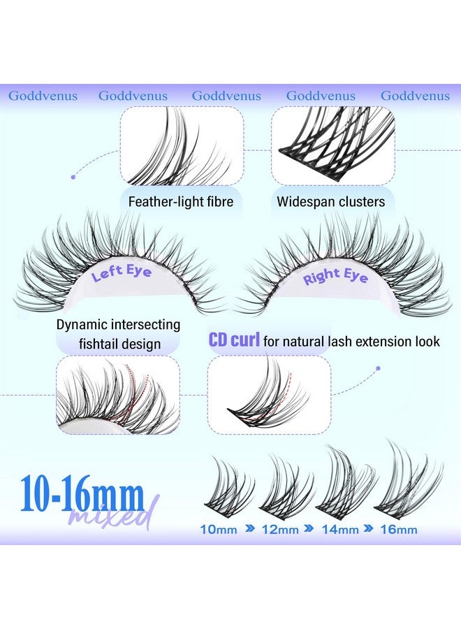 Goddvenus Goddvenus Wispy Lash Clusters 10-16mm Lashes Clusters Eyelash Extensions Natural Individual Lashes 144pcs D Curl Lash Extension DIY Soft Comfortable Eyelash Clusters with Cotton Band - Image 4