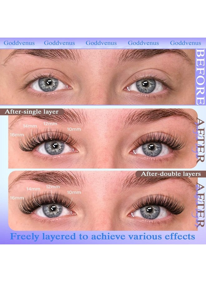 Goddvenus Goddvenus Wispy Lash Clusters 10-16mm Lashes Clusters Eyelash Extensions Natural Individual Lashes 144pcs D Curl Lash Extension DIY Soft Comfortable Eyelash Clusters with Cotton Band - Image 5