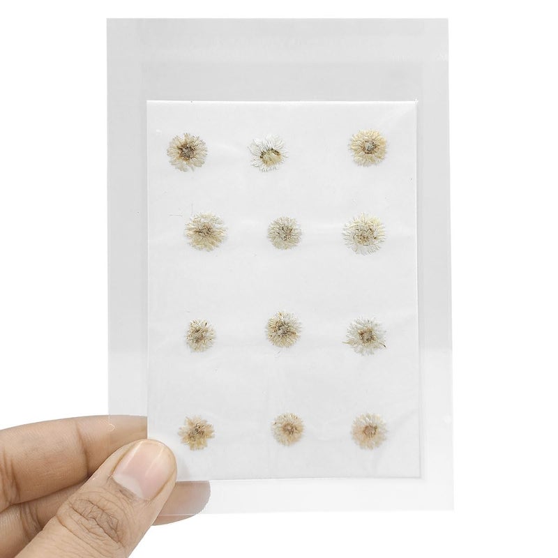 YellowCult YellowCult Natural Real Dried Pressed Flowers Sheets for Art Craft Mixed Multicolor for Soap Candle Journal DIY Resin Jewelry PendantSmall Fragrant FlowerWhite 