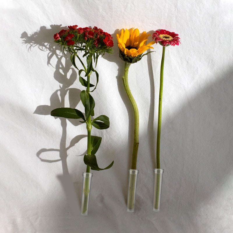 AIEX 48pcs Reusable Plastic Flower Tubes with Silicone Cap for Flower Plants 7.2 x 1.8 cm/2.8 x 0.7 inches (Transparent) - Image 5