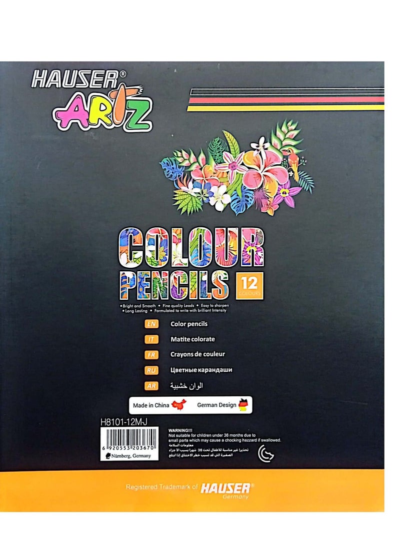 HAUSER ARTZ Metallic Jumbo Colored Pencils Multicolor Pack Of 12 - Image 2
