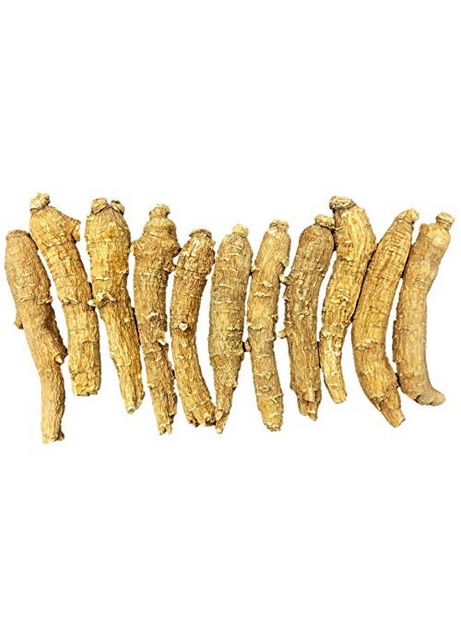 New Green Nutrition Hand Selected A Grade American Ginseng Medium Thin Short Size (4 Oz. Box)  - Image 5