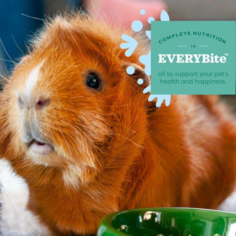 Oxbow Essentials Young Guinea Pig Food, Guinea Pig Pellets Made with Timothy Hay, Stabilized Vitamin C, Small Animal Pet Products, Small Animal Food Made in USA, High Fiber, 5 lb. Bag - Image 5