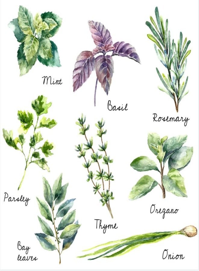 Zaiphany Herb Wall Decals Stickers Peel and Stick,Kitchen Stickers Decals for Cabinet Peel and Stick,Herb Art Decor for Kitchen - Image 1