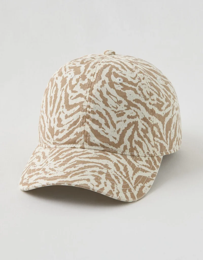 Aerie Aerie Baseball Hat