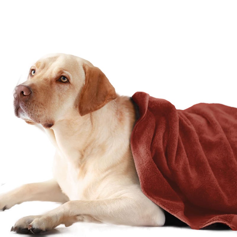 Sassoon Large Pet Towels Ultra Soft Microfiber Quick Drying Machine Washable Colour Rust Pack of 1 - Image 1