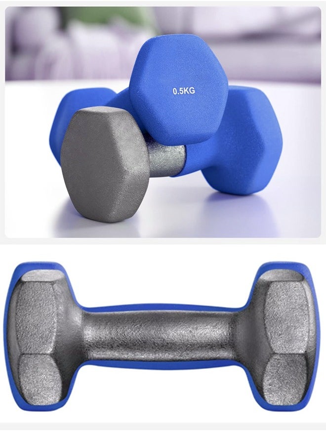 Fitness World - Small hexagonal dumbbell set of two pieces weighing 0.5 kg each 11x5x5cm - Image 1