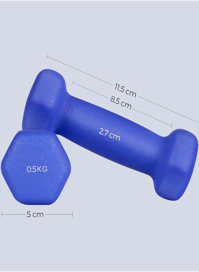 Fitness World - Small hexagonal dumbbell set of two pieces weighing 0.5 kg each 11x5x5cm - Image 1