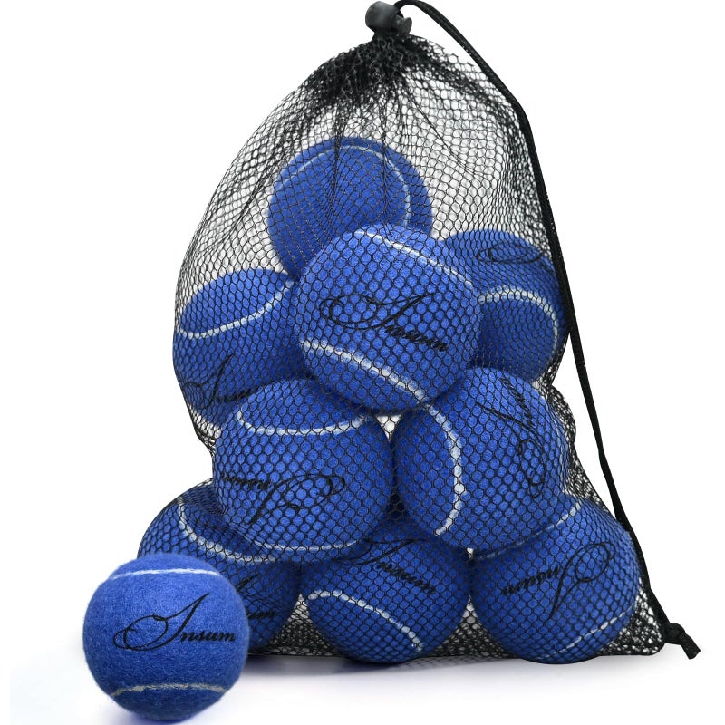 INSUM 12Pack Advanced Training Tennis Balls for Beginner Practice Pet Dog Tennis Balls with Mesh Bag for Easy Carry - Image 2