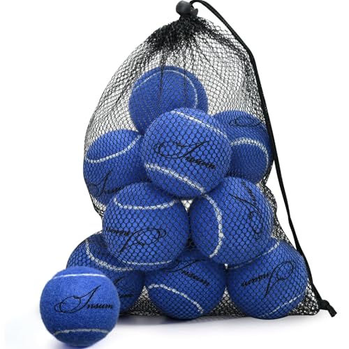 INSUM 12Pack Advanced Training Tennis Balls for Beginner Practice Pet Dog Tennis Balls with Mesh Bag for Easy Carry - Image 1