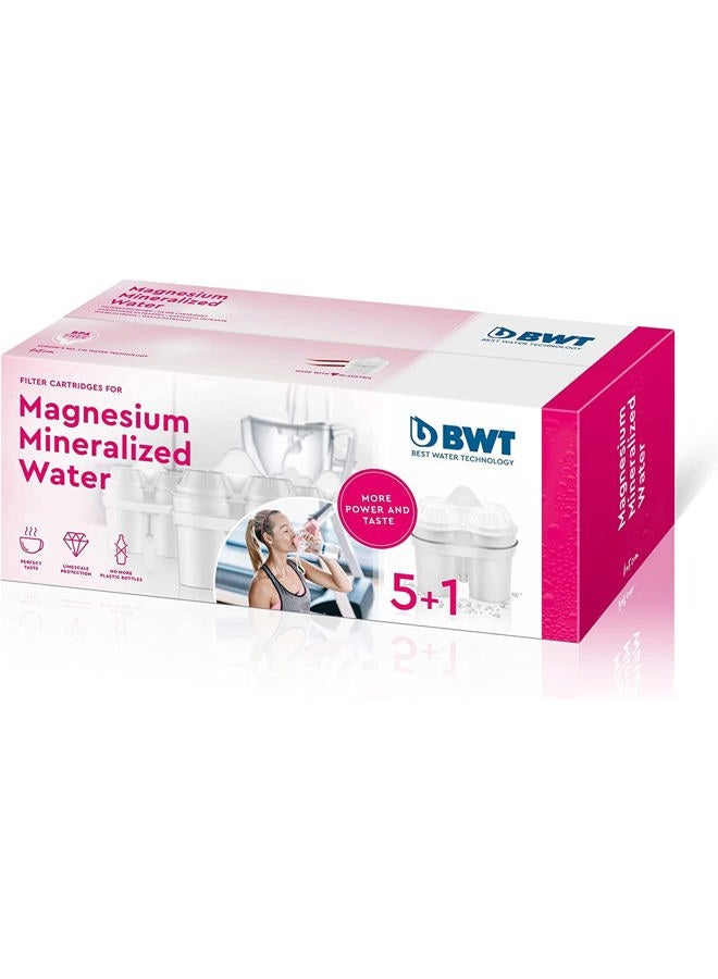 BWT Magnesium Mineralized Water Filter Cartridges, Plastic, White, Pack of 6, Pack of 6 - Image 1