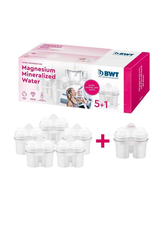 BWT Magnesium Mineralized Water Filter Cartridges, Plastic, White, Pack of 6, Pack of 6 - Image 2