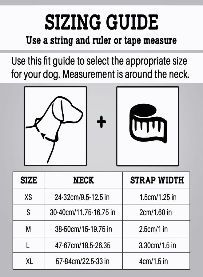 Plushmate x Petaholic Soft Air Mesh Adjustable & Comfortable Dog Neck Collar Belt with Quick Release Buckle & Strong Metal D Ring Suitable for Small, Medium & Large Dogs (Small, Black, 38 mm) - Image 5