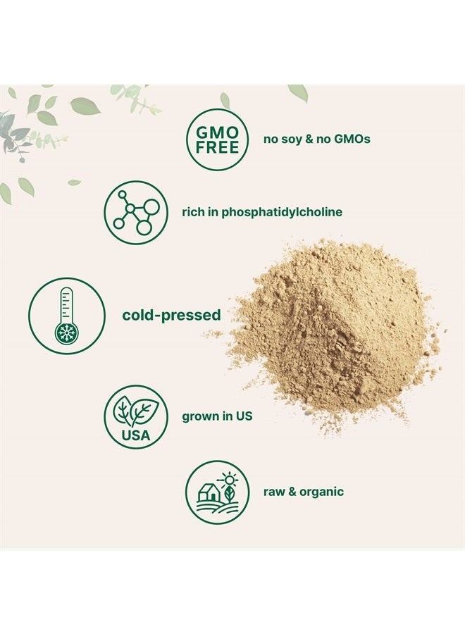 Micro Ingredients Sustainably US Grown, Organic Sunflower Lecithin Powder, 1 Pound, Sustainable Farmed, Cold Pressed, Rich in Phosphatidyl Choline and Protein, Making Liposomal Vitamin C, Lactation Supplement, Non-GMO  - Image 5