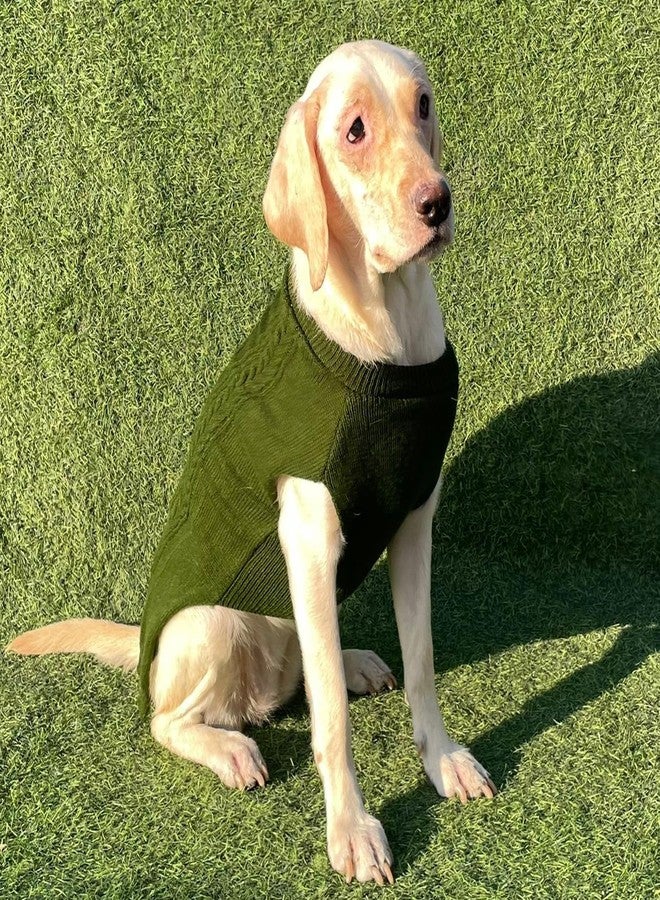 Lulala Turtleneck Dog Sweater, Dog Winter Clothes for Small Dogs Boy Girl, Warm Dog Sweater for Small Dog (Green-20 Inch) - Image 1