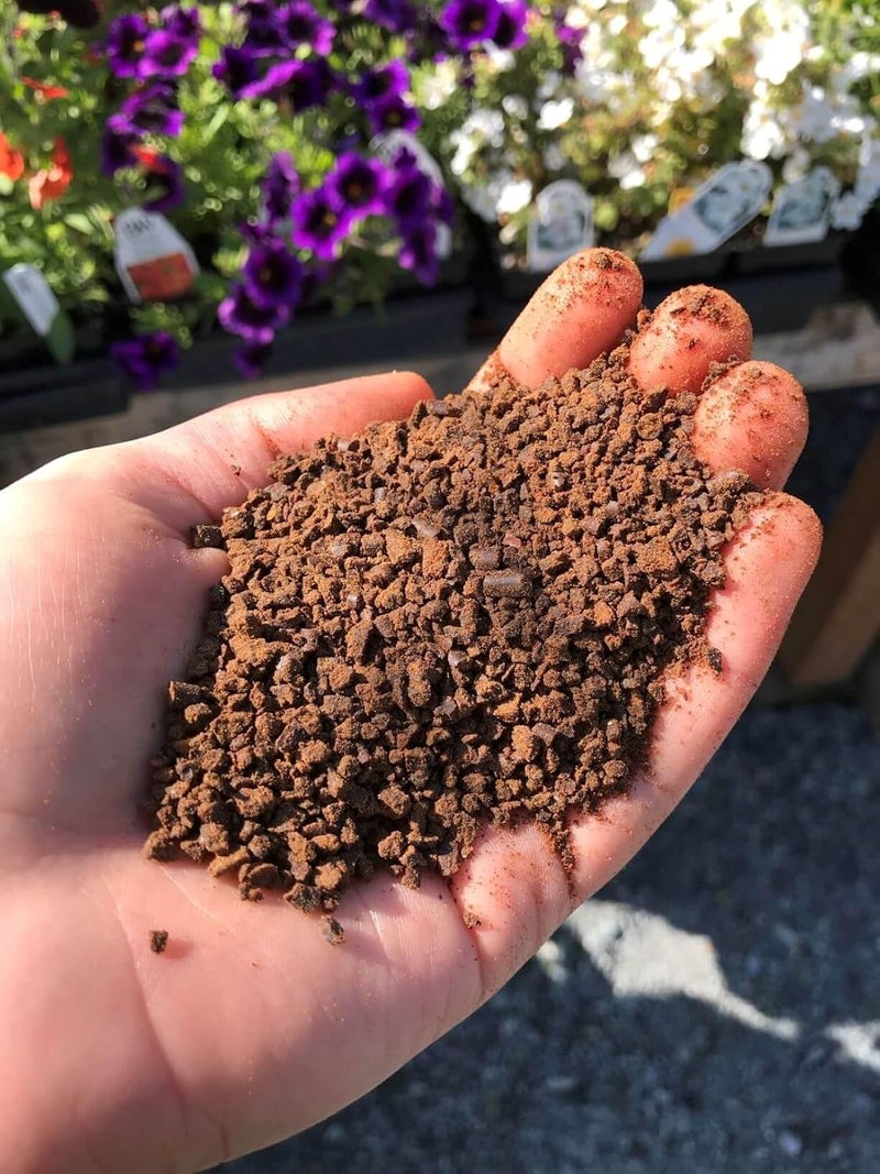 Generic CosaCentrum Organic Neem Cake Powder Fertilizer for Plants NoHarmful Chemicals Pest Repellent Rich in Nutrients Soil Conditioner 500g  - Image 1