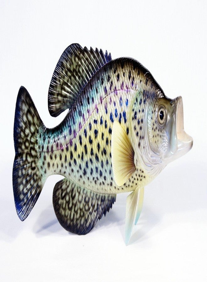 Lx Handpainted Crappie Statue Game Fish Replica 15" Small Dot - Image 5