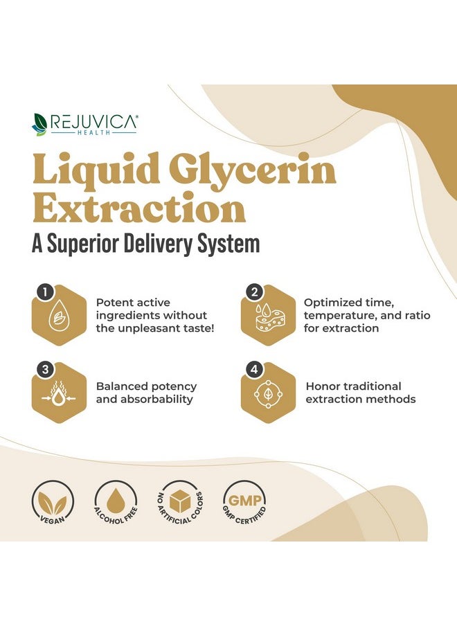 Rejuvica Health Active Maca - Advanced Maca Root Extract - Peruvian Ginseng - Liquid Delivery for Better Absorption - Supports Energy & Vitality