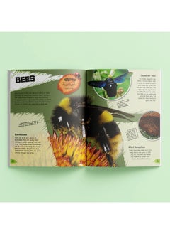 Hinkler Incredible But True: Bugs and Insects Book (Hardcover)  - Image 3