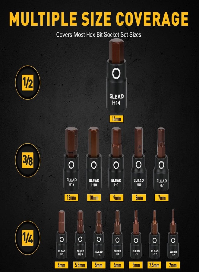 ELEAD مجموعة مفاتيح سداسية مترية مكونة من 16 قطعة - مجموعة مفاتيح ألين من الفولاذ S2 الممتاز، من 2 مم إلى 14 مم، مع محولات للمفاتيح، بمقاسات 1/4 بوصة، 3/8 بوصة، و1/2 بوصة | أدوات ورشة ميكانيكي محترف - Image 2