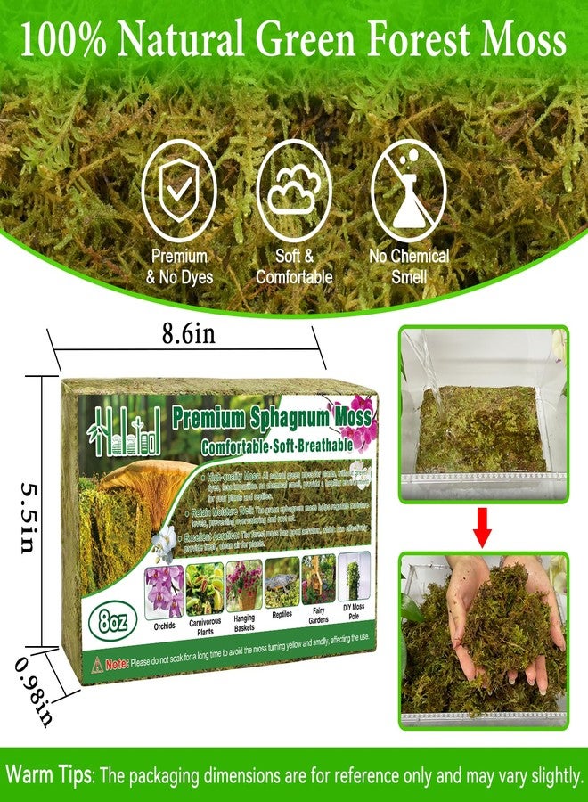 Halatool Orchid Potting Soil for Plants (226g) - Image 2